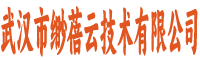 武汉市缈蓓云技术有限公司